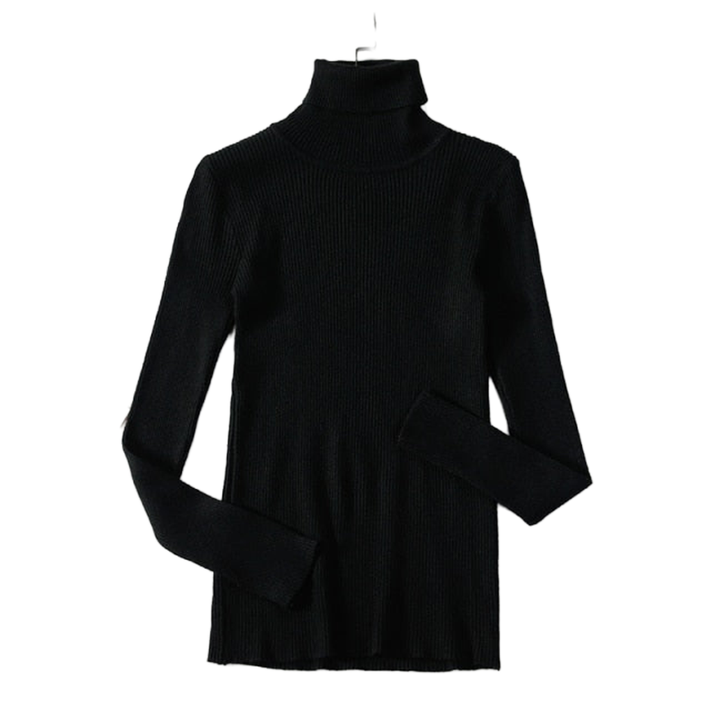 Basic Turtleneck Women Sweater