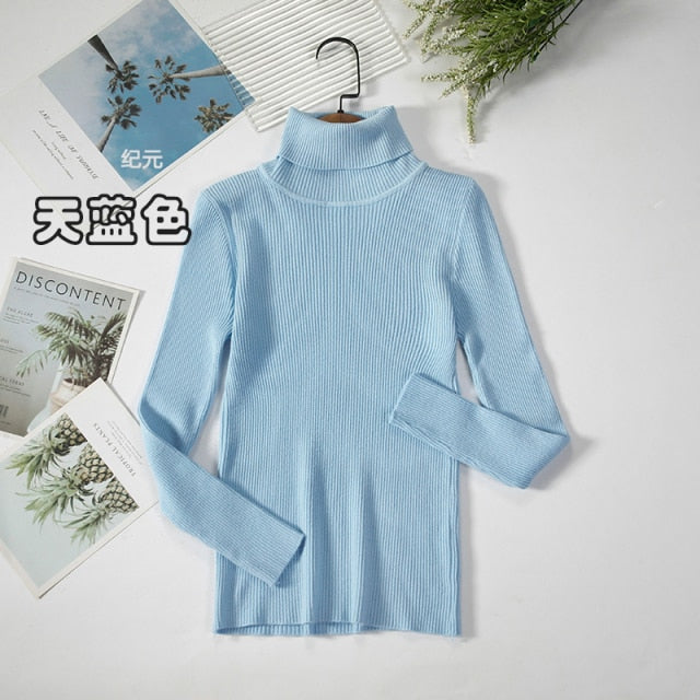 Basic Turtleneck Women Sweater