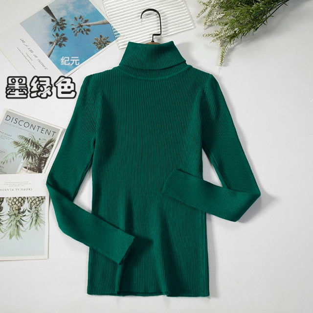Basic Turtleneck Women Sweater