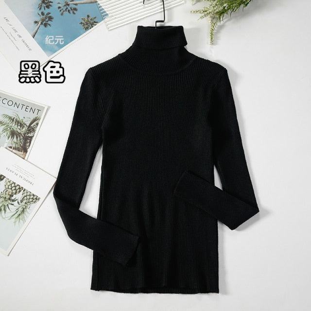 Basic Turtleneck Women Sweater