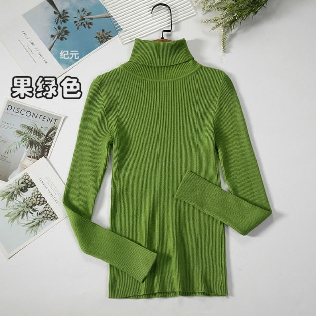 Basic Turtleneck Women Sweater