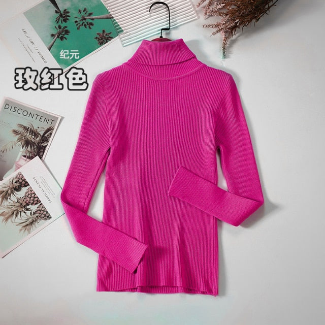 Basic Turtleneck Women Sweater