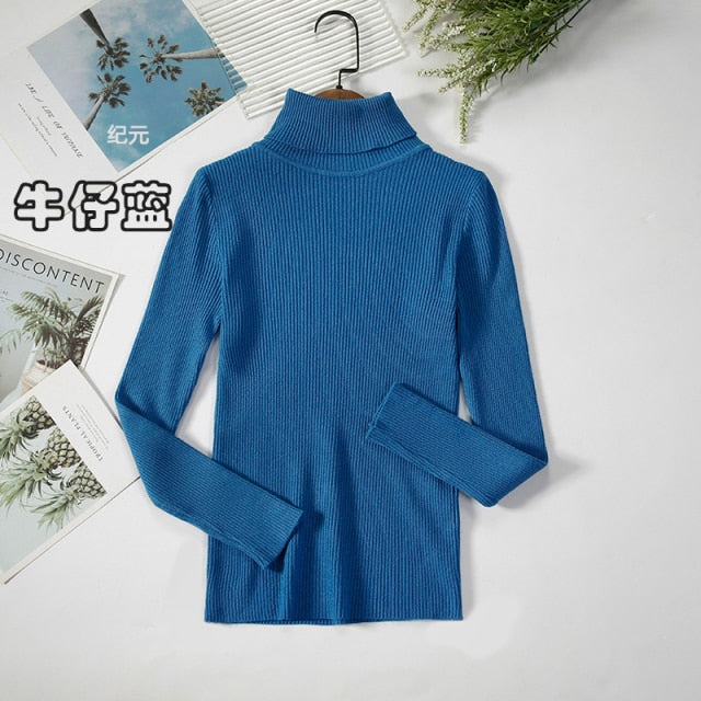 Basic Turtleneck Women Sweater
