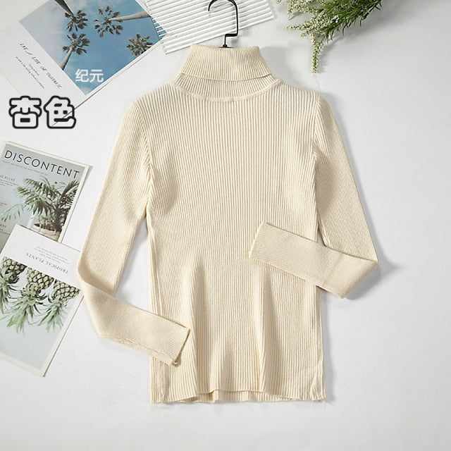 Basic Turtleneck Women Sweater