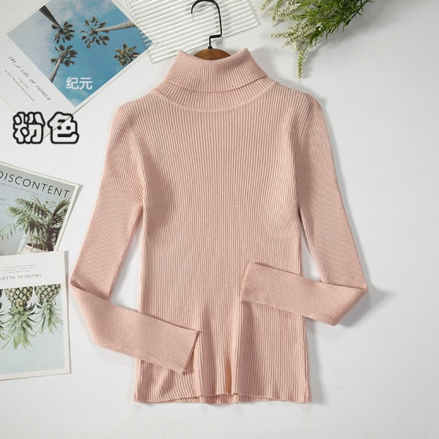 Basic Turtleneck Women Sweater