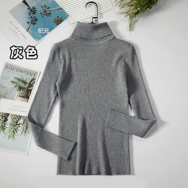 Basic Turtleneck Women Sweater