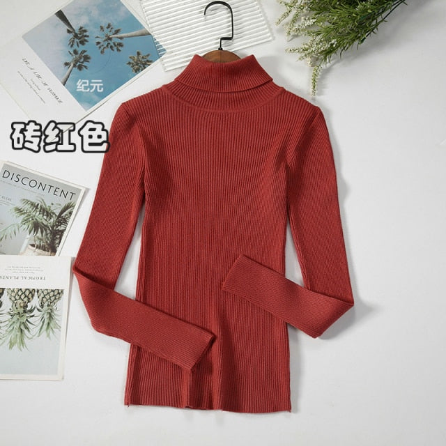 Basic Turtleneck Women Sweater