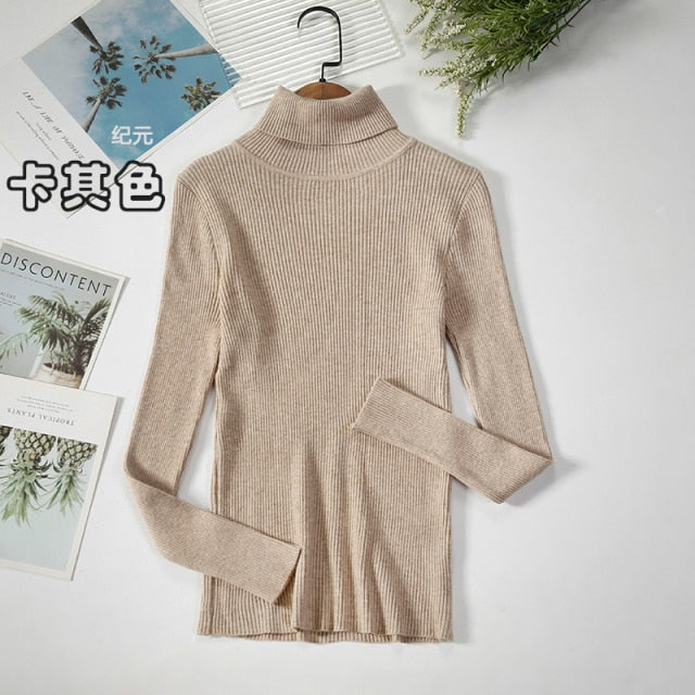 Basic Turtleneck Women Sweater