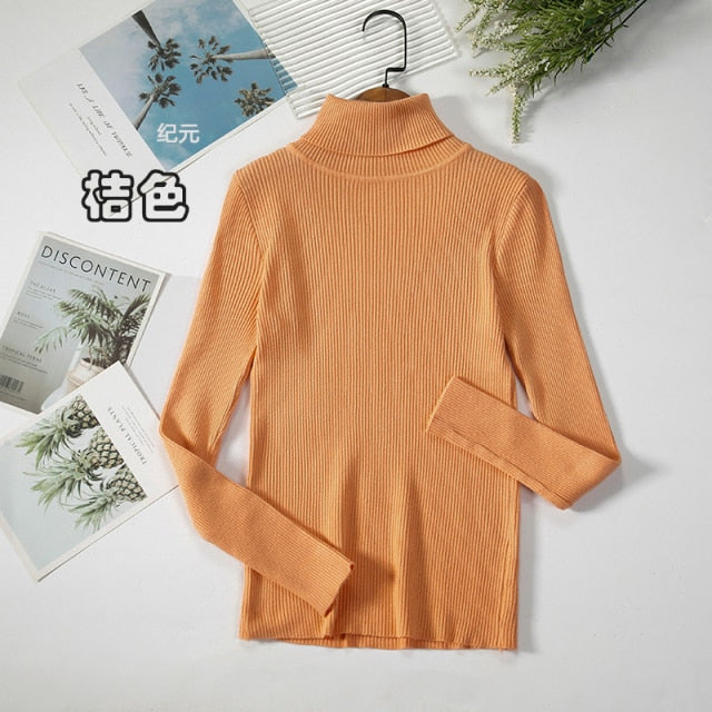 Basic Turtleneck Women Sweater