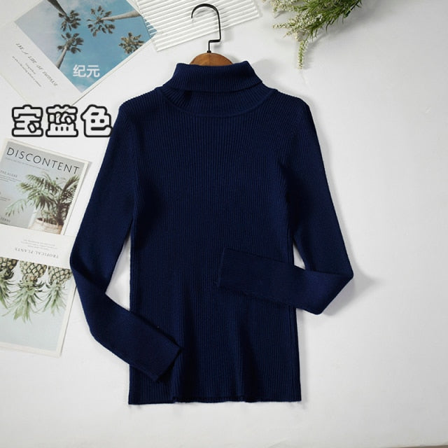 Basic Turtleneck Women Sweater