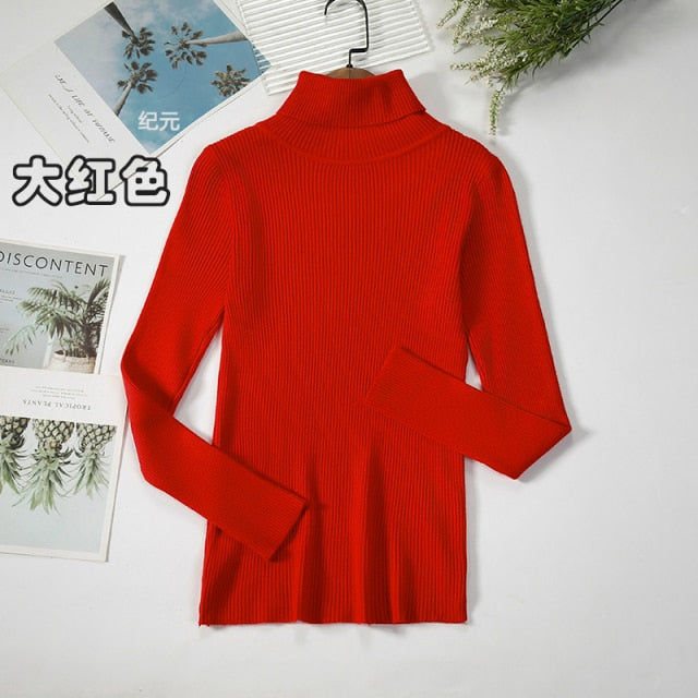 Basic Turtleneck Women Sweater
