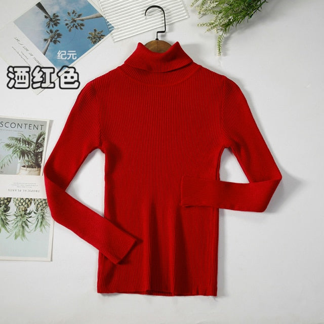 Basic Turtleneck Women Sweater
