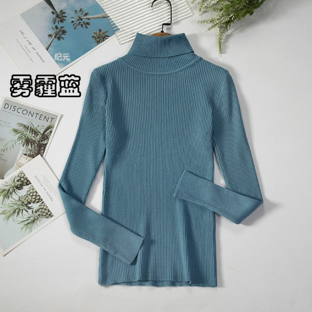 Basic Turtleneck Women Sweater