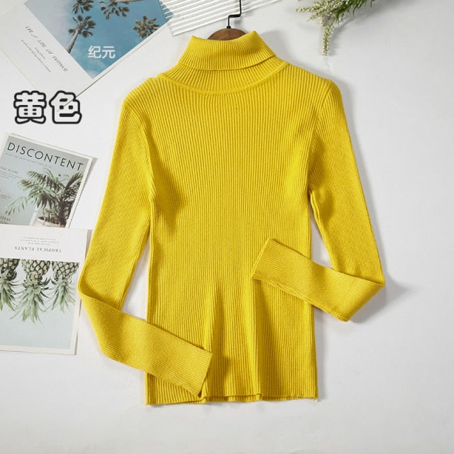 Basic Turtleneck Women Sweater