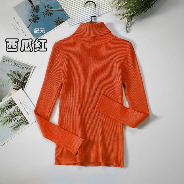 Basic Turtleneck Women Sweater