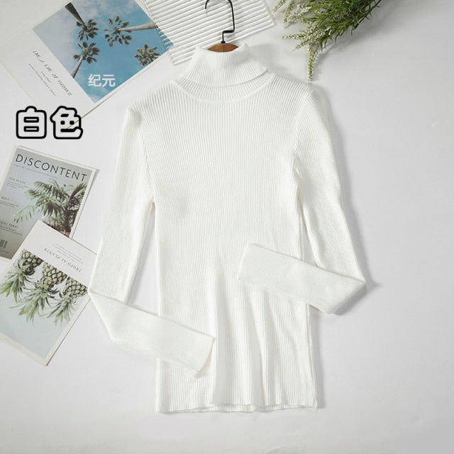 Basic Turtleneck Women Sweater