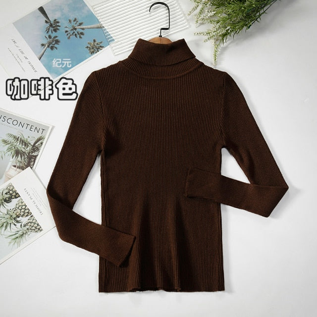 Basic Turtleneck Women Sweater