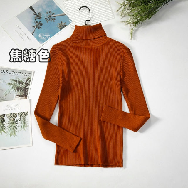 Basic Turtleneck Women Sweater