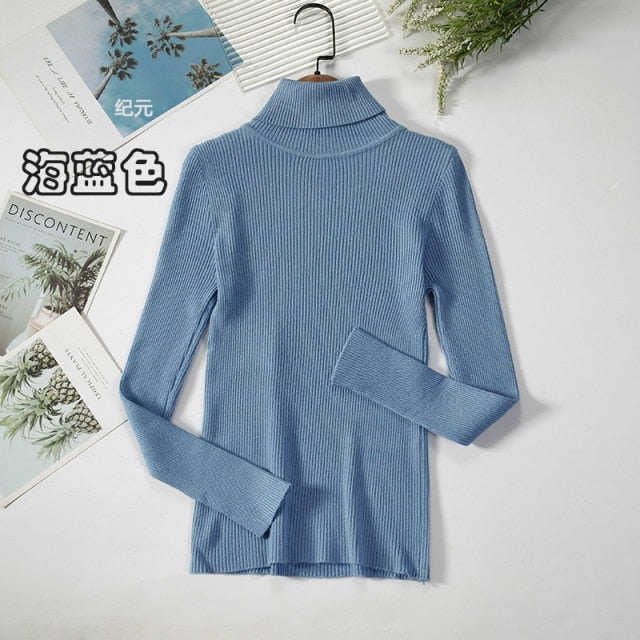 Basic Turtleneck Women Sweater