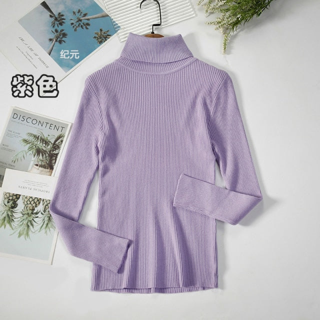 Basic Turtleneck Women Sweater