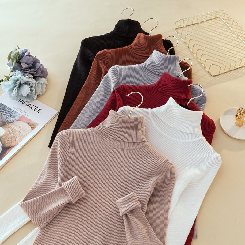 Slim Knitted Turtleneck Sweater