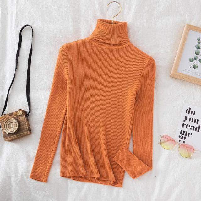 Slim Knitted Turtleneck Sweater
