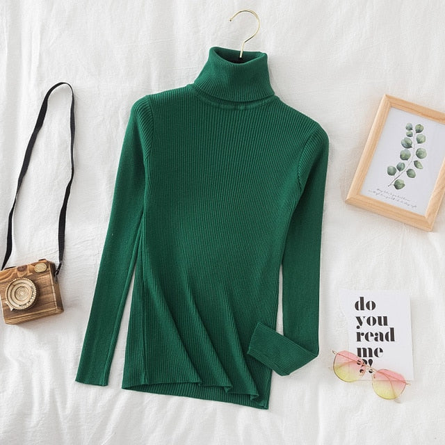 Slim Knitted Turtleneck Sweater