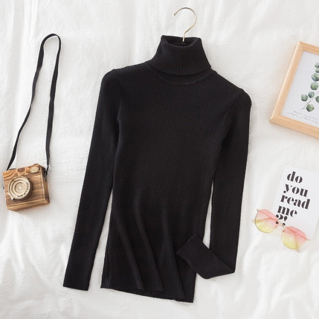 Slim Knitted Turtleneck Sweater