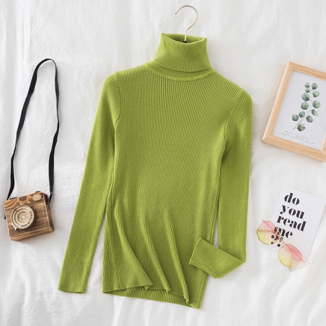 Slim Knitted Turtleneck Sweater