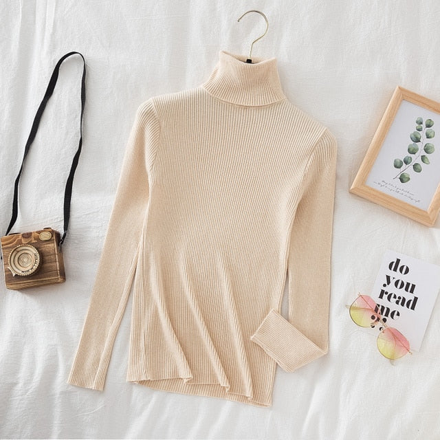 Slim Knitted Turtleneck Sweater