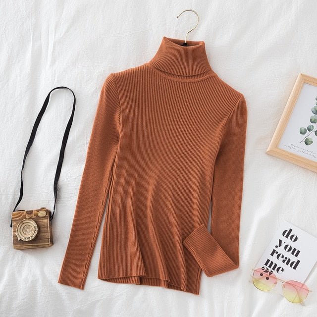 Slim Knitted Turtleneck Sweater
