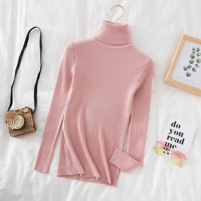 Slim Knitted Turtleneck Sweater