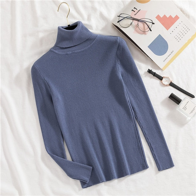 Slim Knitted Turtleneck Sweater