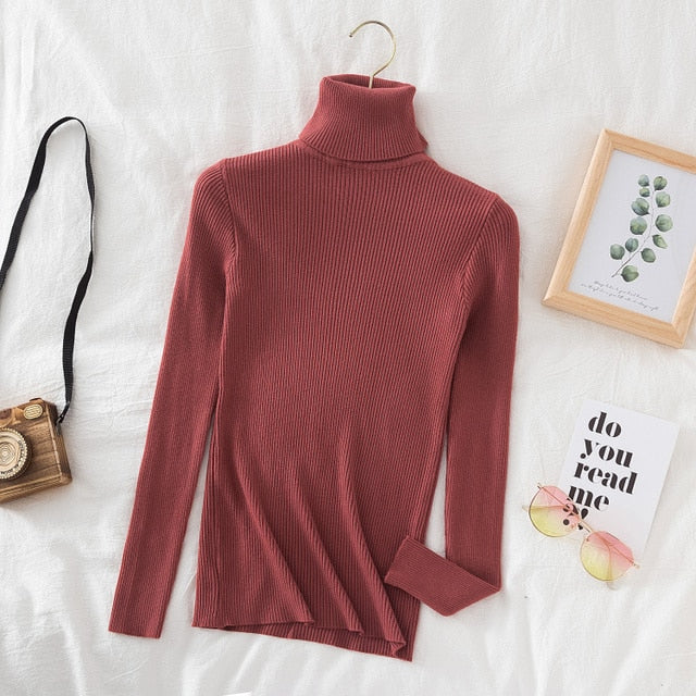 Slim Knitted Turtleneck Sweater