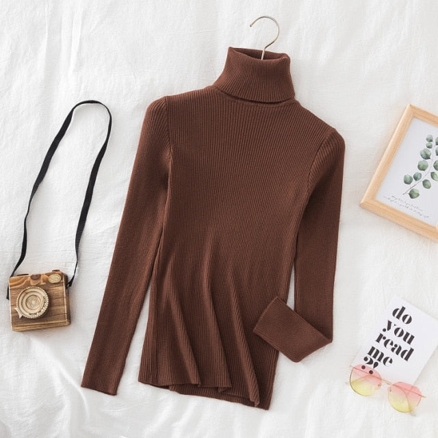 Slim Knitted Turtleneck Sweater