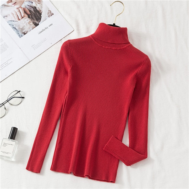 Slim Knitted Turtleneck Sweater