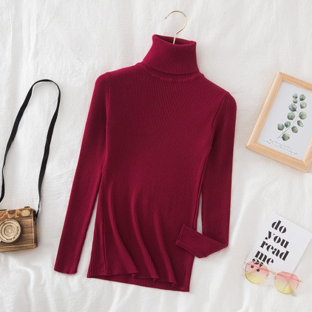 Slim Knitted Turtleneck Sweater