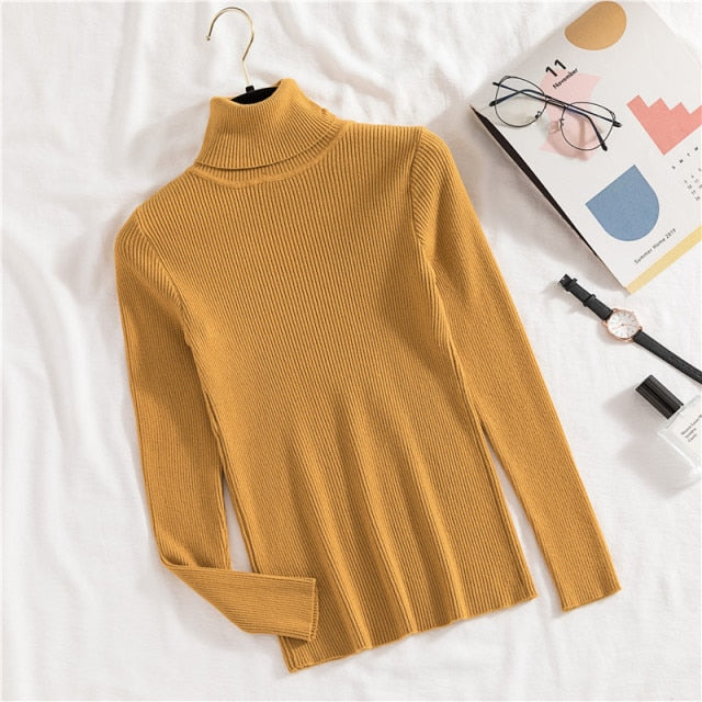 Slim Knitted Turtleneck Sweater