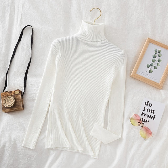 Slim Knitted Turtleneck Sweater